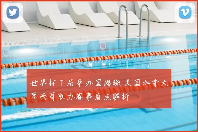 世界杯下届举办国揭晓 美国加拿大墨西哥联办赛事看点解析