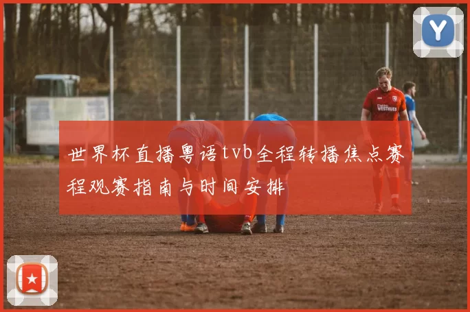 世界杯直播粤语tvb全程转播焦点赛程观赛指南与时间安排