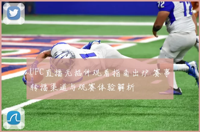 UFC直播无插件观看指南出炉 赛事转播渠道与观赛体验解析